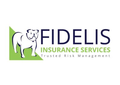 Logo Design For Insurance Company